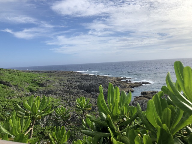 タイトル　荒木海岸