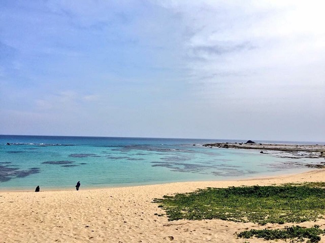 タイトル　土盛海岸