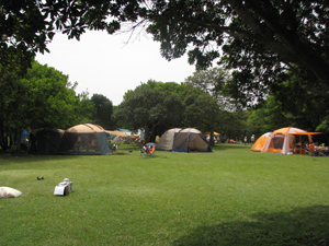 須ノ川公園キャンプ場の写真