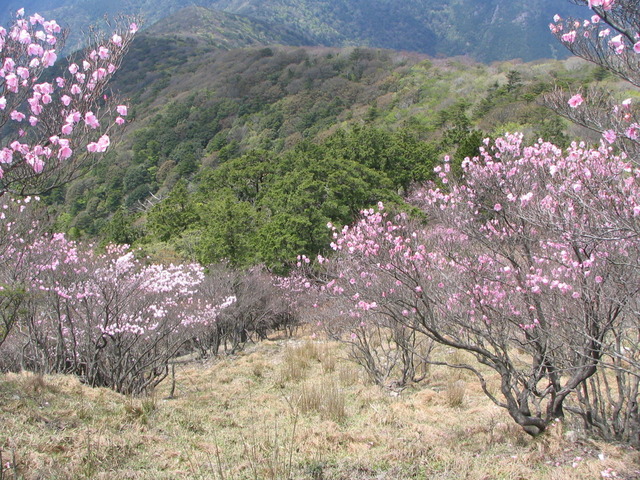 タイトル　篠山