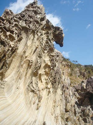 竜串・見残しの奇岩の写真