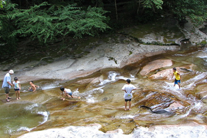 photo 3 of Ashizuri-Uwakai National Park