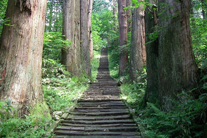 photo 4 of Ashizuri-Uwakai National Park