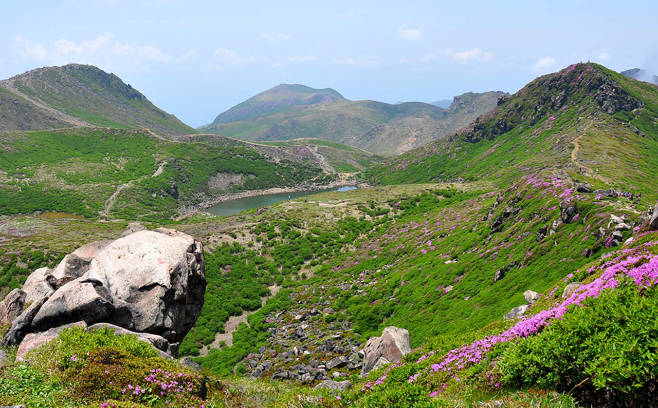 写真:平治岳から望むくじゅう連山、坊ガツル湿原とミヤマキリシマ