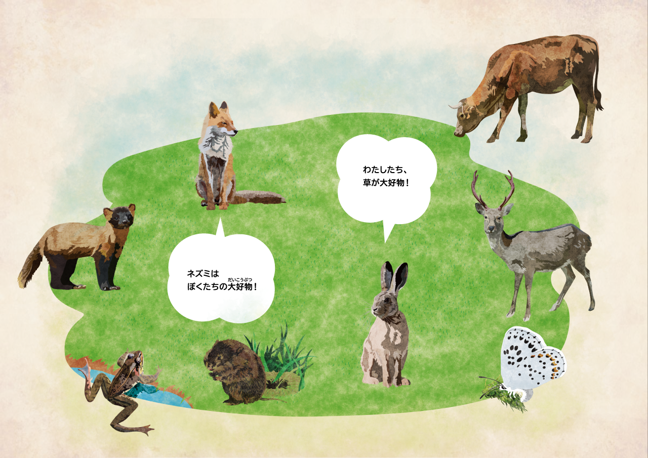 イラスト:牛、キツネ、タヌキ、シカ、カエル、ネズミ、ウサギ、チョウ、オオルリシジミ