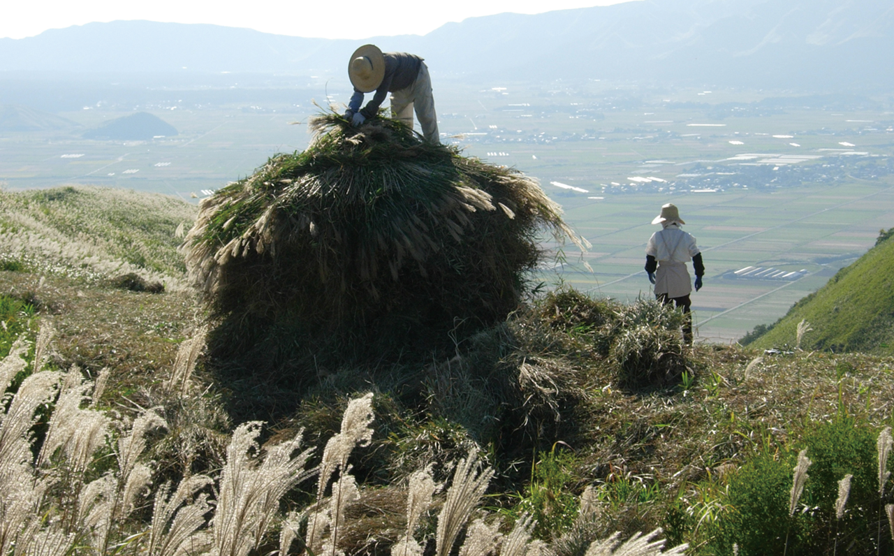 写真:草小積み