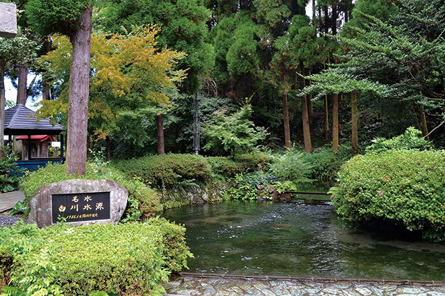 白川水源の写真