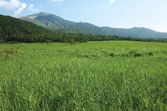 坊ガツル湿原・タデ原湿原の写真