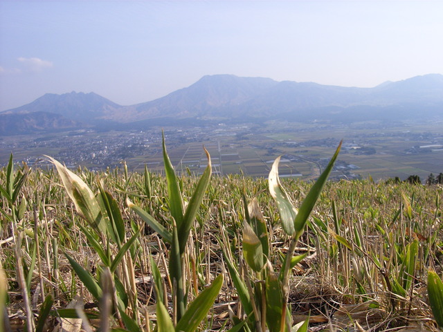 タイトル　阿蘇五岳