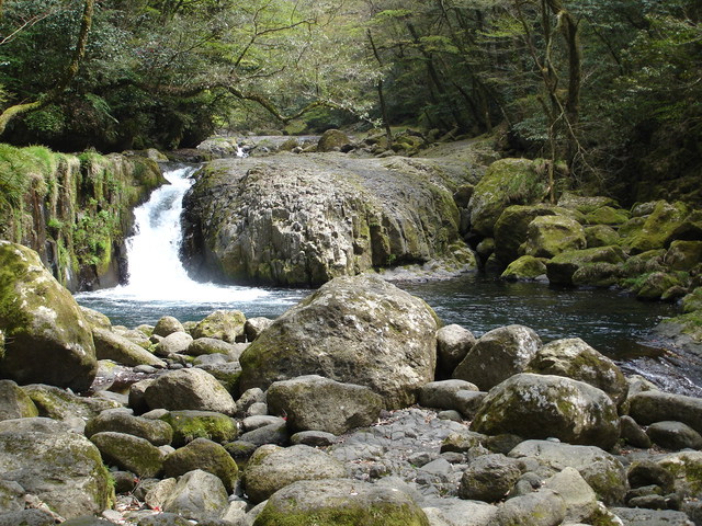 タイトル　菊池渓谷