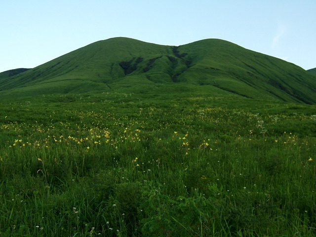 タイトル　ユウスゲ咲く草原と往生岳