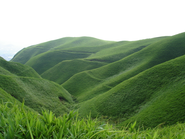 タイトル　緑の草原