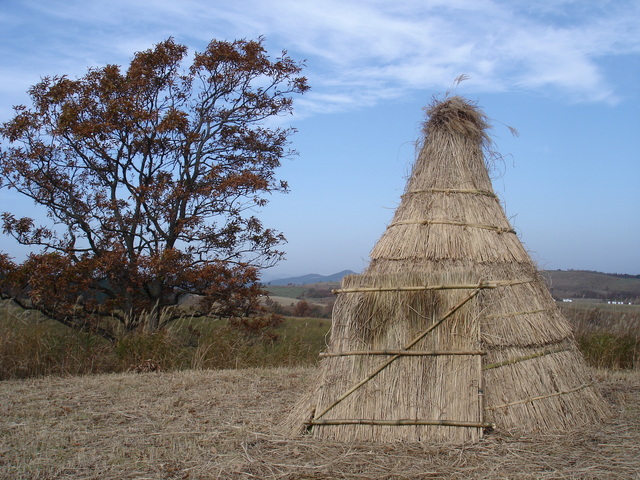 タイトル　草泊まり