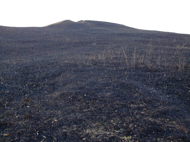 タイトル　野焼き後の風景