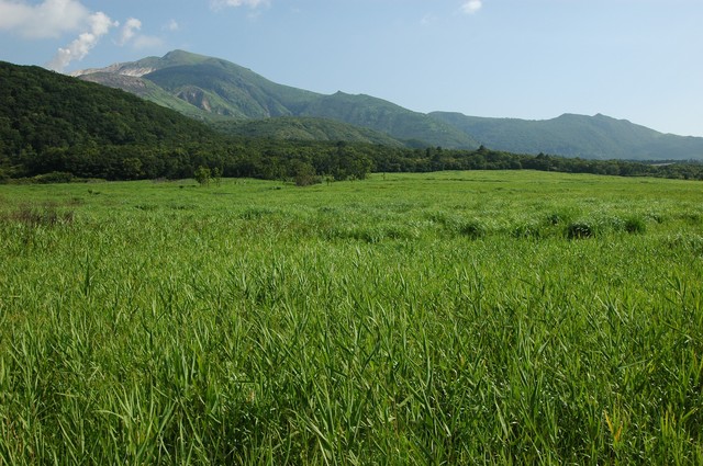 タイトル　タデ原湿原