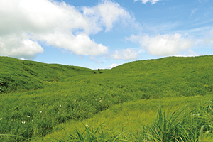 photo of Aso's Grasslands