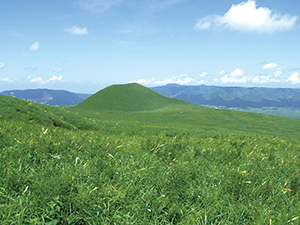 photo of Grassland (tall-grass type) Used as a Meadow