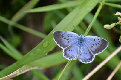 photo 10 of Aso-Kuju National Park