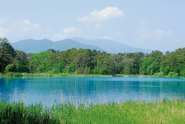 photo of Goshikinuma Nature Trail