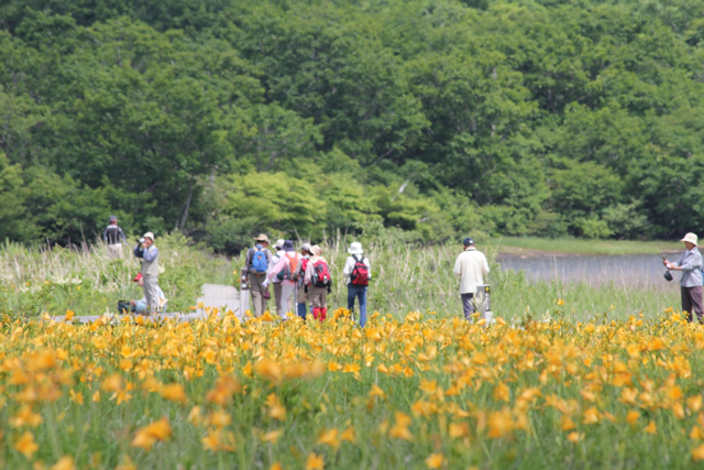 photo of Hiking