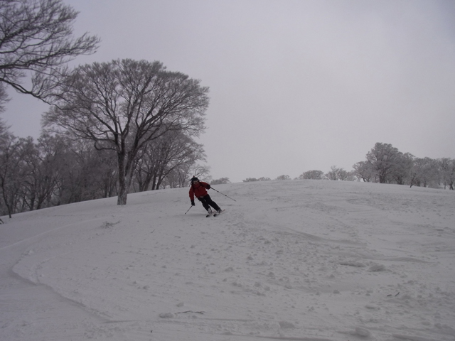 photo of Skiing