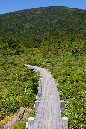 東吾妻登山道・姥ヶ原登山口