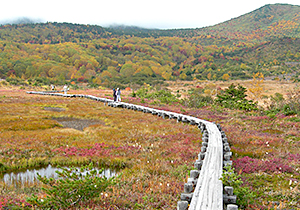 Joudodaira wetlands