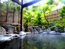 Yamaneya Ryokan Open-air bath