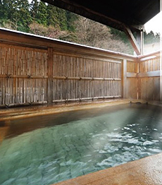 Ryokan Shounkaku Hime-no-yu