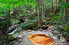 Tatsumiyasanso Sato-no-yu Open-air bath [Kongou-no-yu]