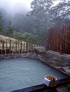 Washikura Onsen Kougen Ryokan Open-air bath