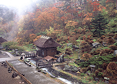 Ryokan Tamagoyu 秋の庭園