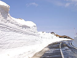 Corridor of Snow