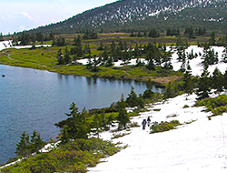 Landscape of Snow