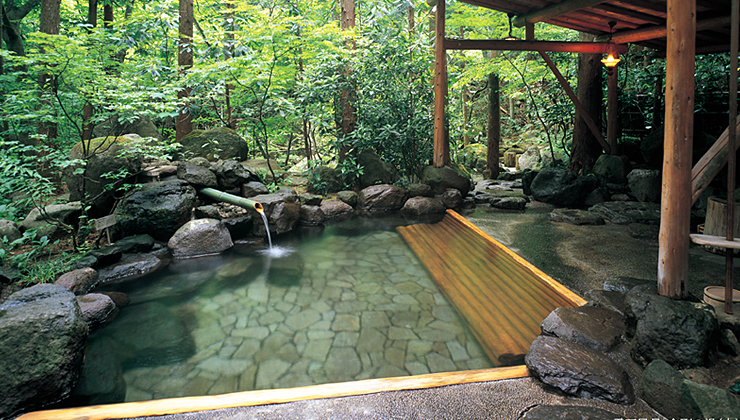 辰巳屋山荘 里の湯