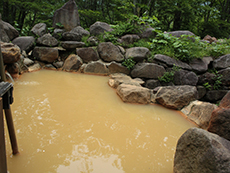 赤湯好山荘　温泉の写真3