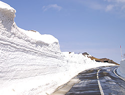 雪の回廊