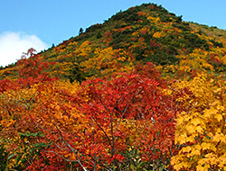 浄土平の紅葉