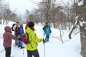 photo of Snowshoe Trekking