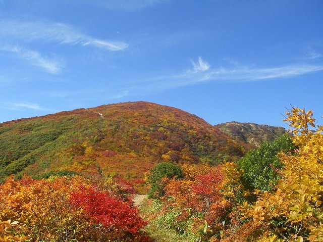 タイトル　紅葉の朝日連峰