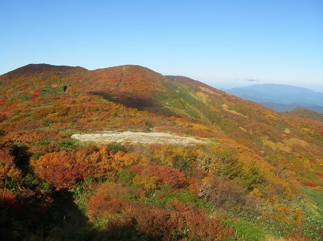 タイトル　紅葉の天狗角力取山（朝日連峰）