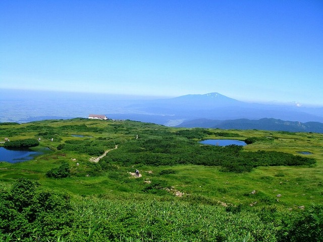 タイトル　弥陀ヶ原の池塘と鳥海山