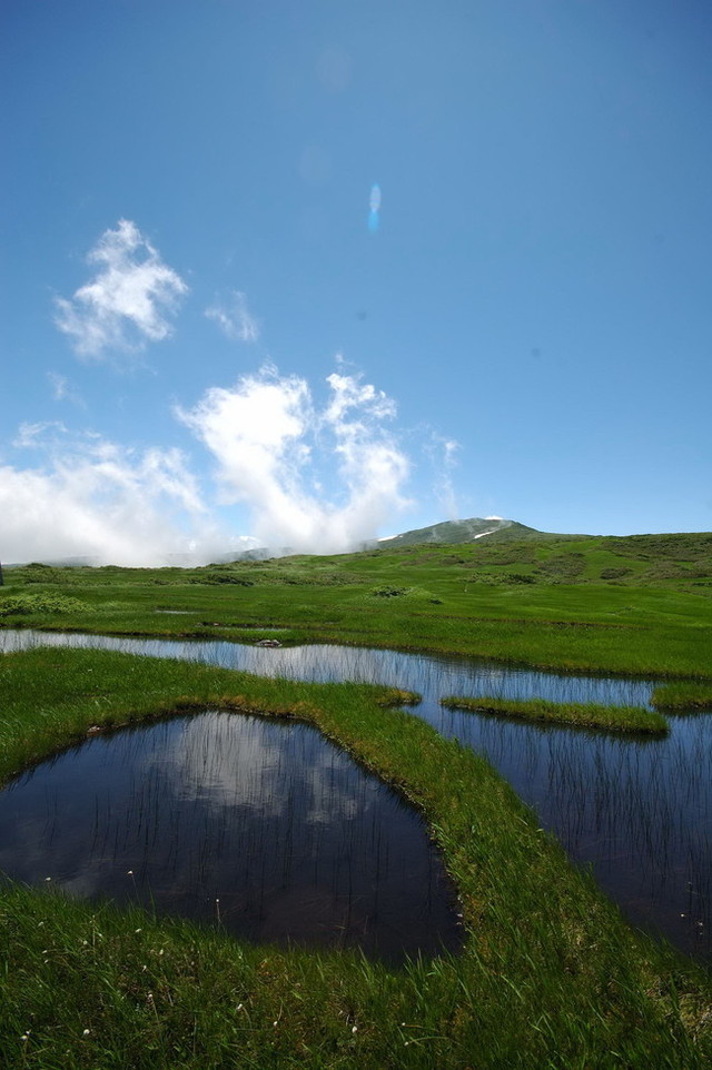 タイトル　月山（弥陀ヶ原）_７月