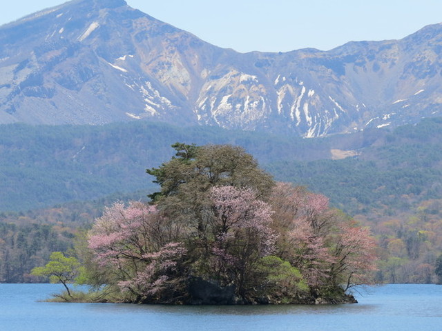 タイトル　桧原湖桜島･5月