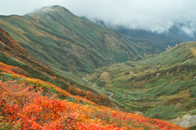 タイトル　紅葉の月山①