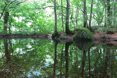 photo 3 of Bandai-Asahi National Park