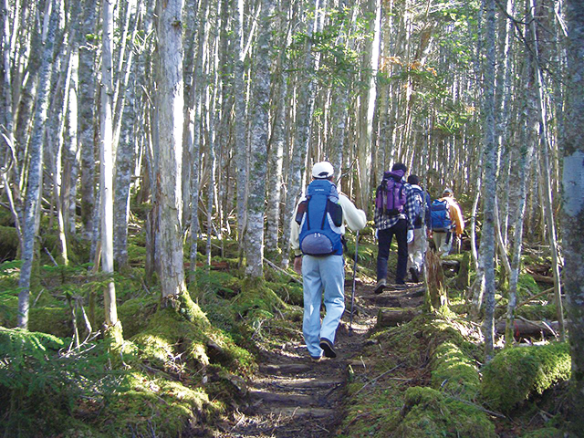 photo of Mt. Kobushigatake