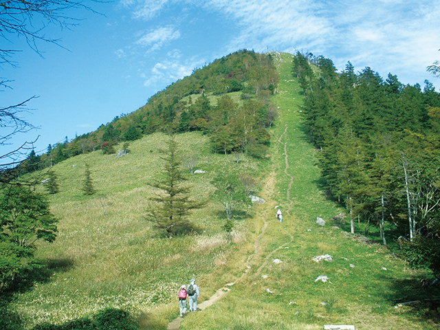 笠取山・水干の写真