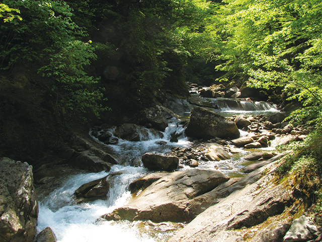 photo of Nishizawa Gorge