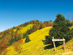 photo of Karisaka Pass